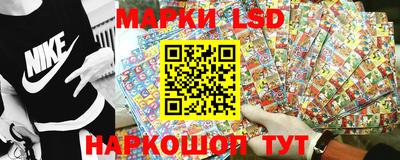 мяу мяу мука Беслан