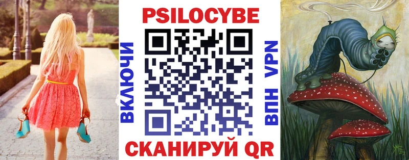цена наркотик  Черногорск  omg ссылки  Галлюциногенные грибы прущие грибы 