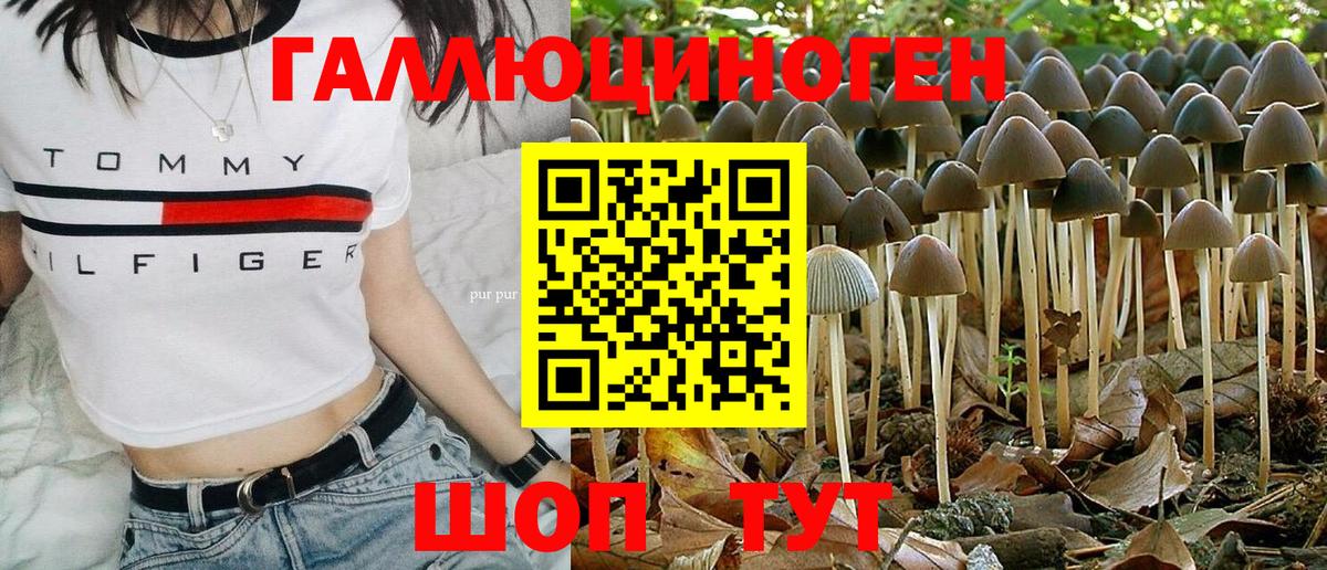 Галлюциногенные грибы мицелий Черногорск