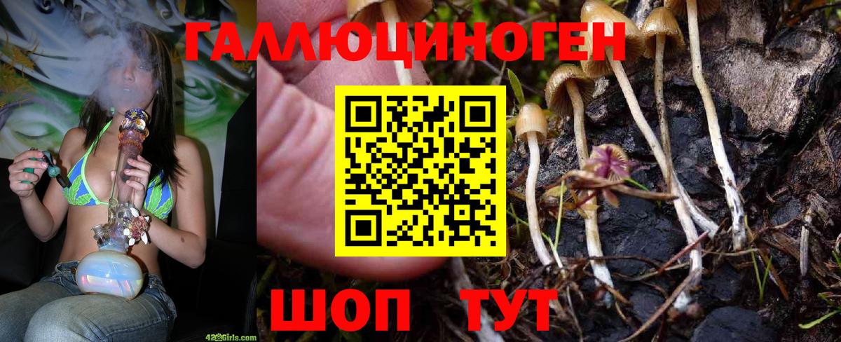 магазин    Галлюциногенные грибы мухоморы  Вход с VPN  Галлюциногенные грибы мицелий  Черногорск 