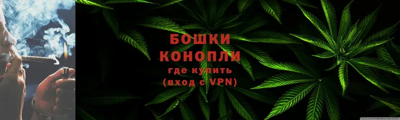 Шишки марихуана THC 21%  Черногорск 